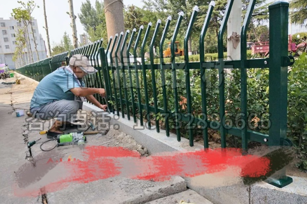 山東棗莊市城市綠化改造工程 山東(dōng)棗莊市城市綠化改造工程